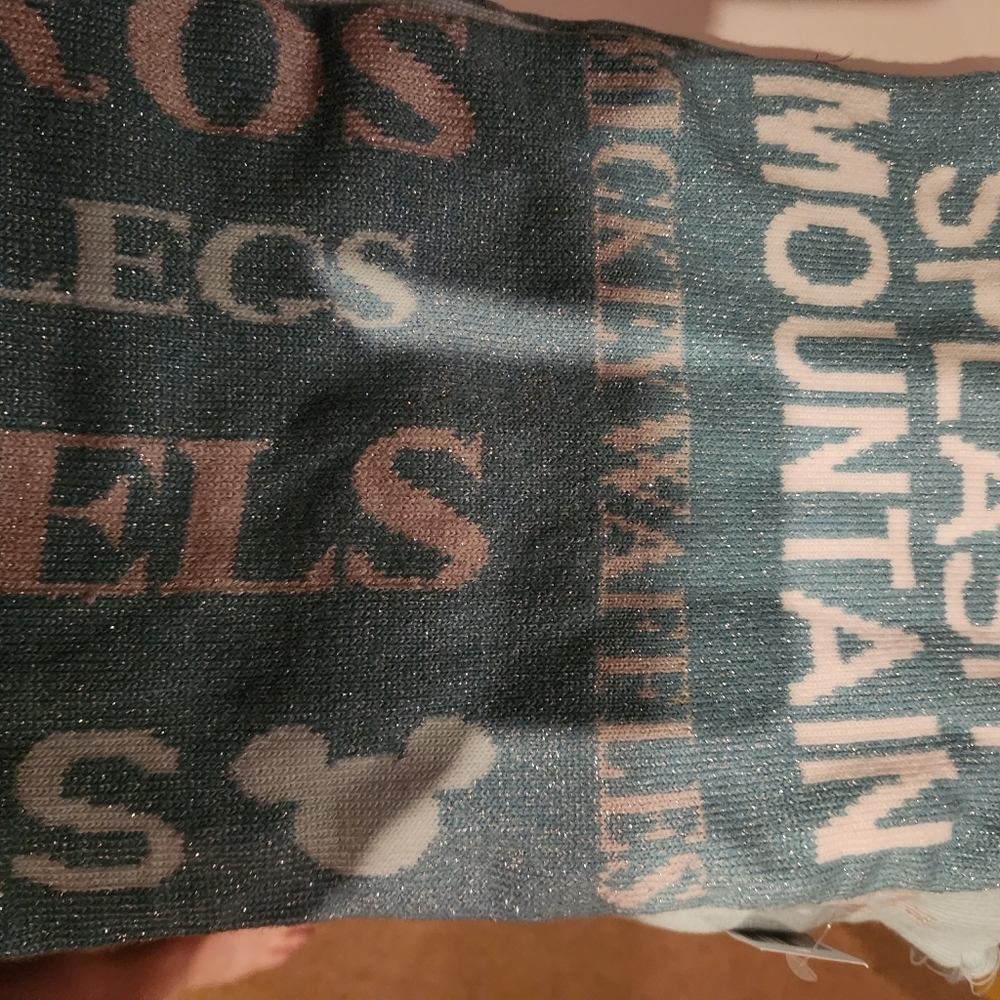 Disney landmark and food scarf